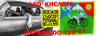 бошки Сланцы