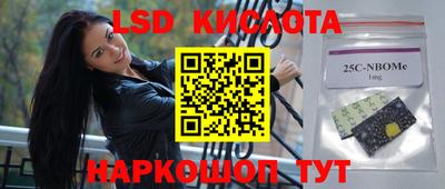бошки Сланцы