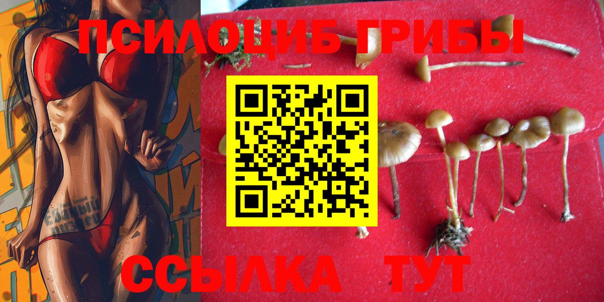 Отрадный  Псилоцибиновые грибы Cubensis  Вход с VPN 