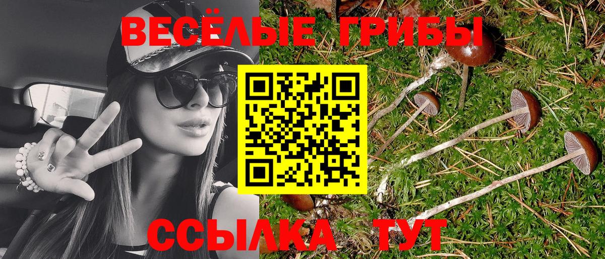Галлюциногенные грибы ЛСД Отрадный